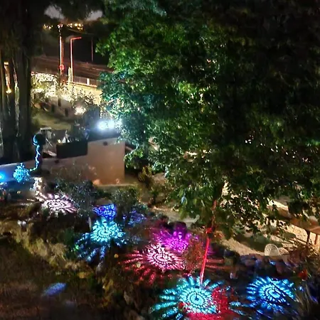 Jardin D'eden *