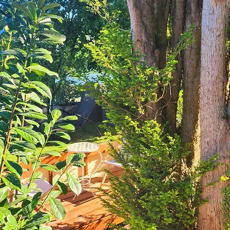 Jardin D'eden Pompey